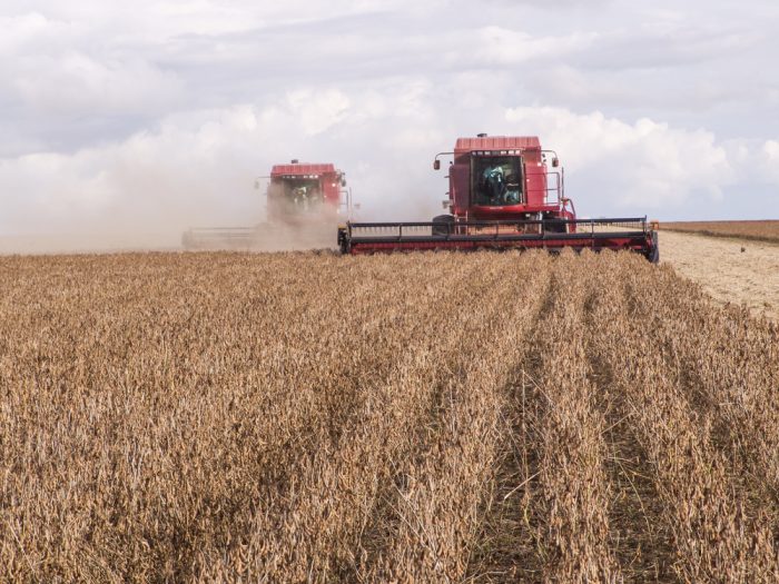 Ipea melhora projeção para o crescimento do PIB do agro Money Report