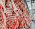 Carne-bovina-e-processada-em-frigorifico-brasileiro-e1630773282141