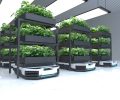 Automatic transport robot transporting plants, Smart robotic farmers concept. 3D illustration