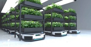 Automatic transport robot transporting plants, Smart robotic farmers concept. 3D illustration