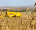 bioinsumos produção agricola